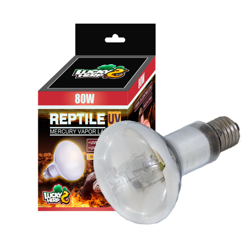 Lucky Herp R80 80W reptile uvb mercury vapor bulb